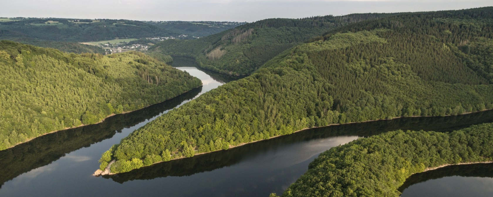 Blick in den Nationalpark Eifel und Urfttalsperre, © Eifel Tourismus GmbH, D. Ketz