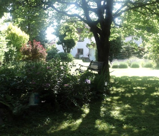 Garten_im_Sommer