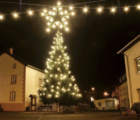 Arbre de Noël à Waxweiler, © Fritz Knob