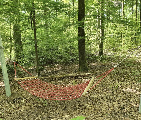 Hängematte auf der HeimatSpur Wald-Wohlfühl- Weg, © GesundLand Vulkaneifel GmbH