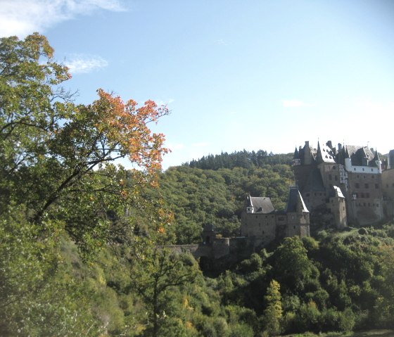 Burg Eltz - Traumpfad Eltzer Burgpanorama