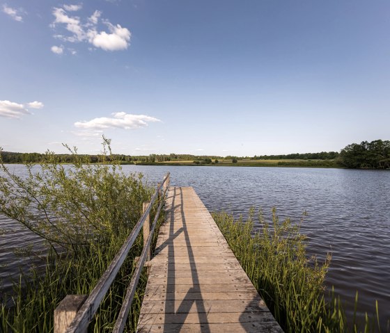 Passerelle à l'étang de la Vierge