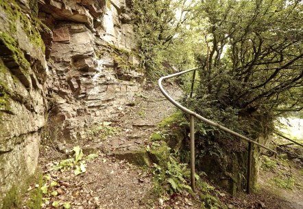 Wanderwege Bad Bertrich, © GesundLand Vulkaneifel