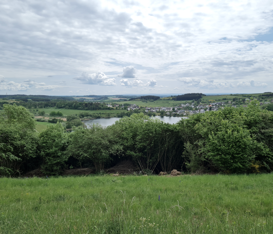 Blick auf Schalkenmehrener Maar