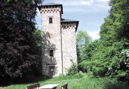 Arenberg Turm, © TI Hocheifel-Nürburgring, Alois Schneider