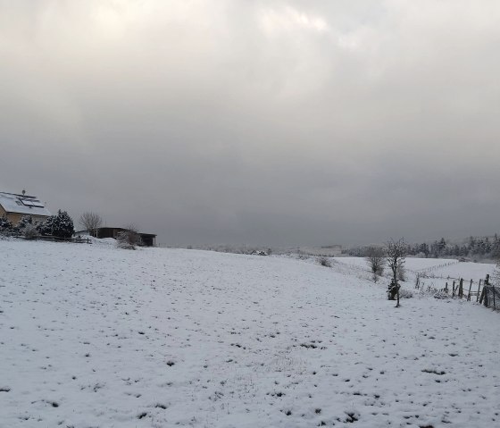 Winterlandschaft am Haus - Kopie