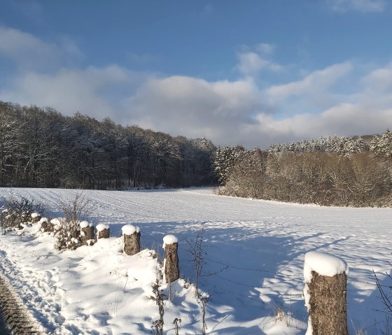 Winterlandschaft - Kopie