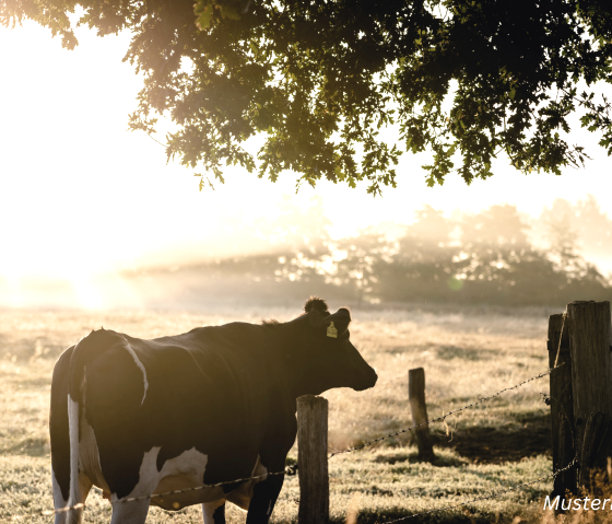 Musterbild Farm, © Canva