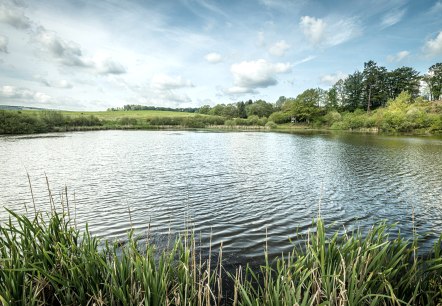 Eichholzmaar (2), © Eifel Tourismus GmbH, Dominik Ketz