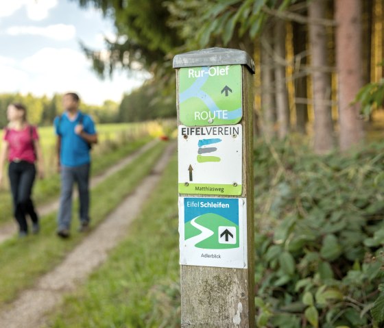 Wandern auf der EifelSchleife Adlerblick, © Eifel Tourismus GmbH, Dominik Ketz