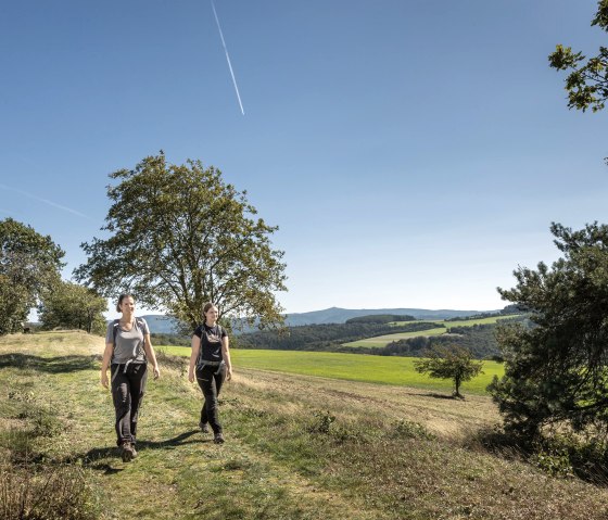 Panorama-Blick Hürstnück mit Hohe Acht, © Tourist-Information Hocheifel-Nürburgring