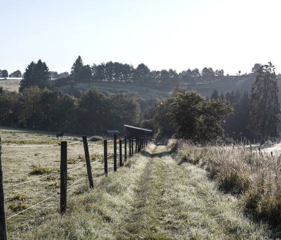 Eifelspur Dahlemer Quellenpfad - Wiesenwanderweg, © Nordeifel Tourismus GmbH