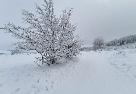 Winter im GesundLand Vulkaneifel, © GesundLand Vulkaneifel GmbH