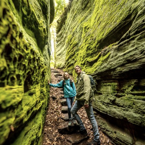 Felsen in der Grünen Hölle, Audiotour Grüne Hölle, © Eifel Tourismus GmbH, Dominik Ketz