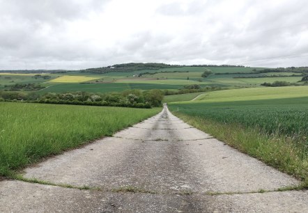 field path Fusenich, © Nicole Zimmer