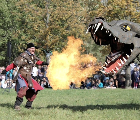 Drachenfest im Seepark Zülpich, © Seepark Zülpich