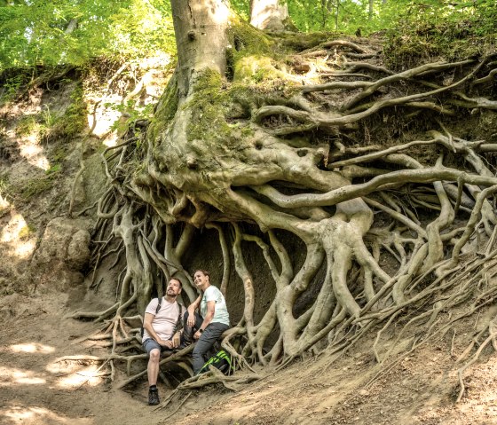 Märchenhafte Wanderrast in der Wolfsschlucht, Traumpfad Höhlen- und Schluchtensteig, © Eifel Tourismus GmbH, Dominik Ketz