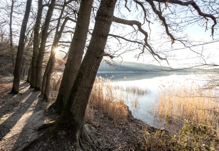 Stimmungsvolle Momente am Laacher See, © Eifel Tourismus GmbH, D. Ketz