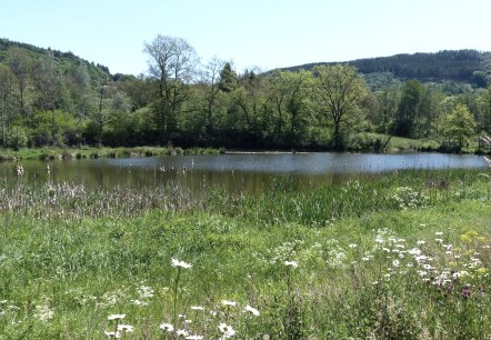 Stausee Irsental, © Tourist-Info Islek, Ingrid Wirtzfeld