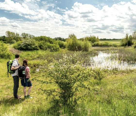 Wanderer am Sangweiher, © Eifel Tourismus GmbH, D. Ketz