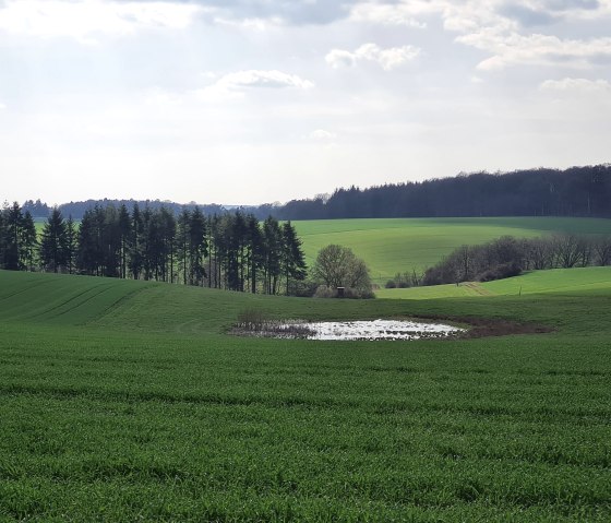 Hetsche Maar