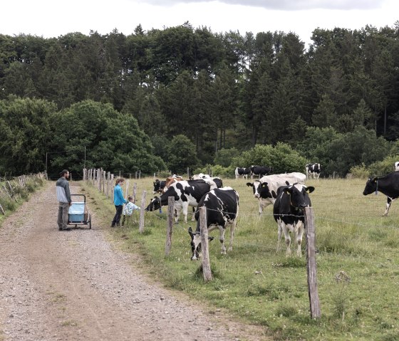 Milchweg Kall, © Eifel Tourismus GmbH, Tobias Vollmer - finanziert durch REACT-EU