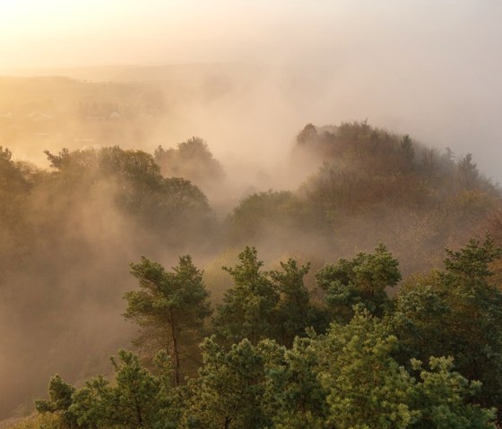 Nebel - die passende Stimmung zum Stumpfarmweg, © Laura Rinneburger