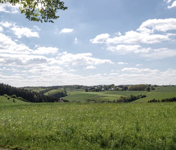 Eifelspur Münstereifelsteig - Naturschutzgebiet Erftaue, © Nordeifel Tourismus GmbH