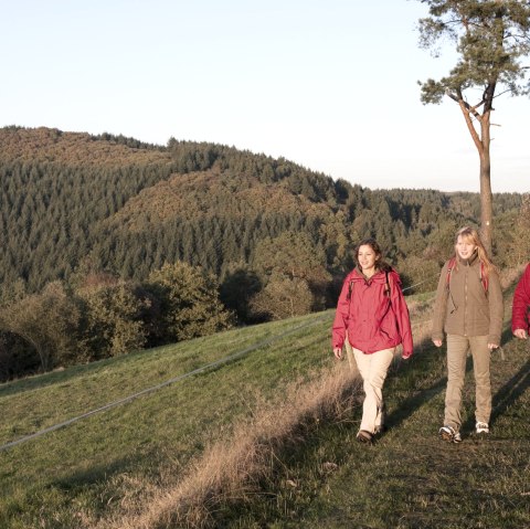 Wanderather - Wanderweg im Herbst, © Traumpfade/Kappest