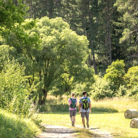 Randonnée guidée, © Eifel Tourismus GmbH - Dominik Ketz