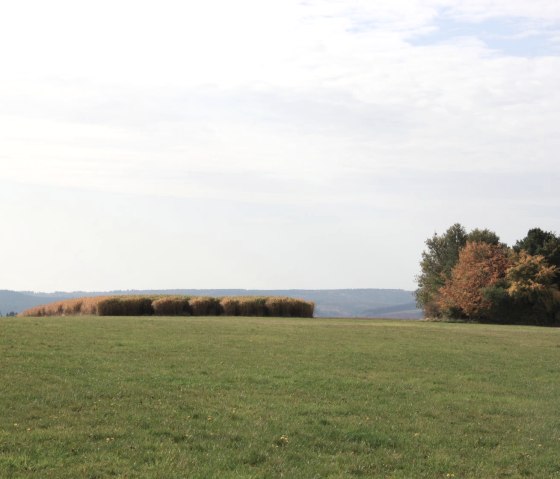 Ausblick in die Landschaft, © Eifel Tourismus GmbH