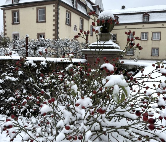 Schloss Winter