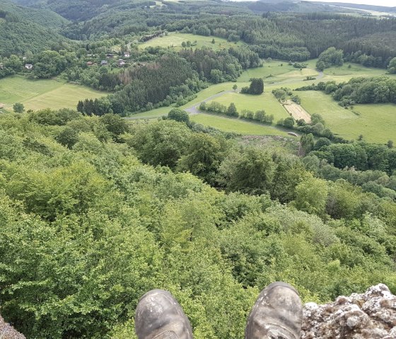 Ausblick vom Schutzer Burberg