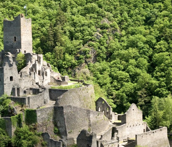 Manderscheider Burgen (Niederburg), © Rheinland-Pfalz Tourismus GmbH/D. Ketz