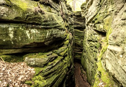 ET-2023-173-Bollendorf_Lauschtour_Grune_Holle-Eifel_Tourismus_GmbH_Dominik_Ketz, © Eifel Tourismus GmbH, Dominik Ketz