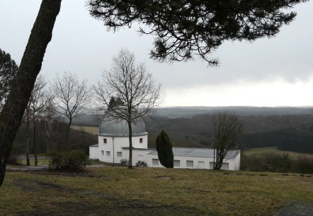 Hoher list hinterm Baum, © GesundLand Vulkaneifel