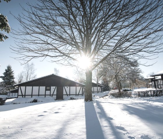 Aussenansicht Kastanie Schnee