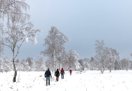 winterwandern Struffelt, © Eifel Tourismus GmbH, Dominik Ketz