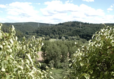 Butzerbachtal - Wald, © Deutsch-Luxemburgische Tourist-Info