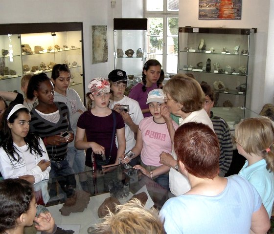 Besuch Naturkundemuseum, © Touristik GmbH Gerolsteiner Land