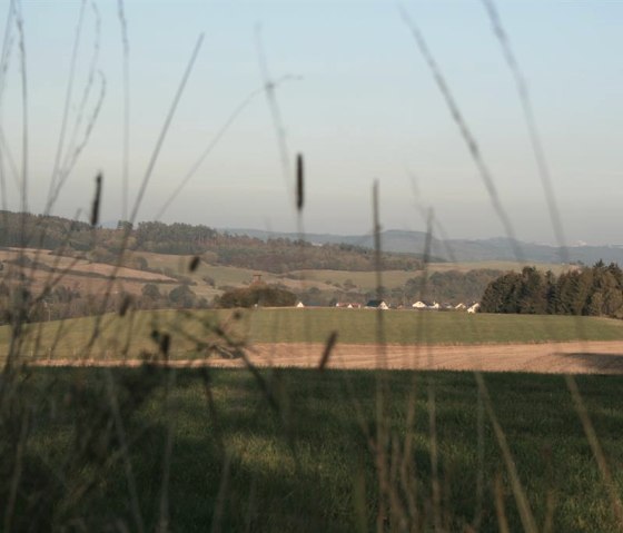 Landschaft Borler