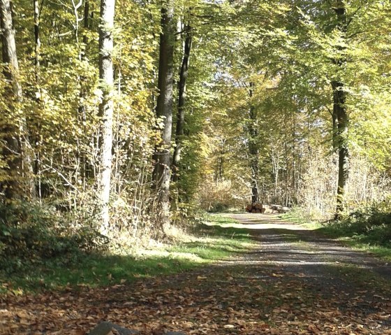 Wandern im Herbst