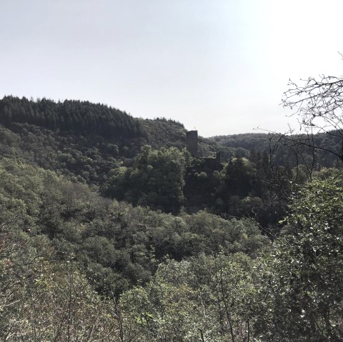 Wanderung rund um Manderscheid, © GesundLand Vulkaneifel GmbH