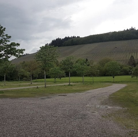 Blick auf die Weinberge vom Wohnmobilstellplatz, © Tourist-Information Wittlich Stadt & Land