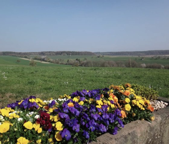 Ausblick2, © Deutsch Luxemburgische Tourist Info