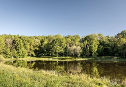 Windsborn Kratersee, © GesundLand Vulkaneifel GmbH/D. Ketz