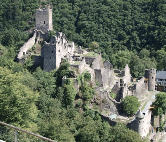 Blick auf die Niederburg