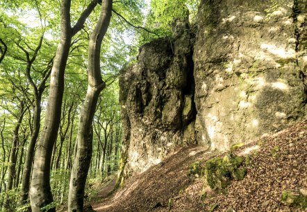 Gerolsteiner Dolomiten, © Eifel Tourismus GmbH, Dominik Ketz