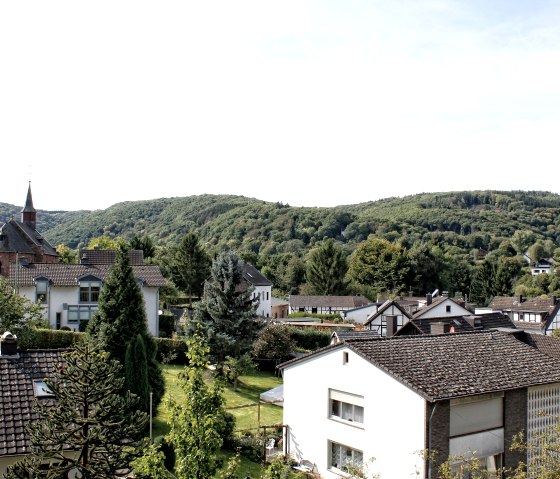 Aussicht auf das Eifeldorf