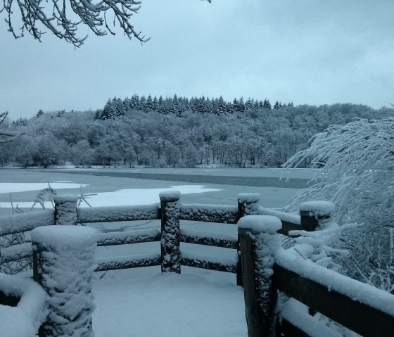 Holzmaar im Winter, © GesundLand Vulkaneifel GmbH